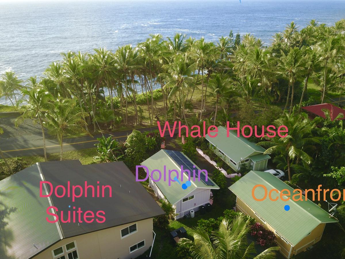 The Dolphin Cottage At Kehena Beach Zewnętrze zdjęcie